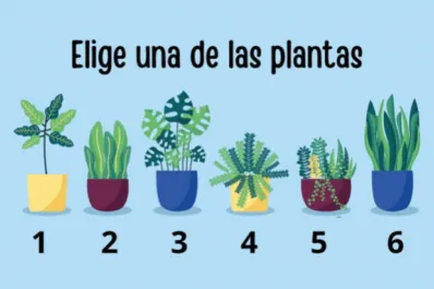 Test de personalidad: elegí una planta y descubrí cuál es tu misión en la vida