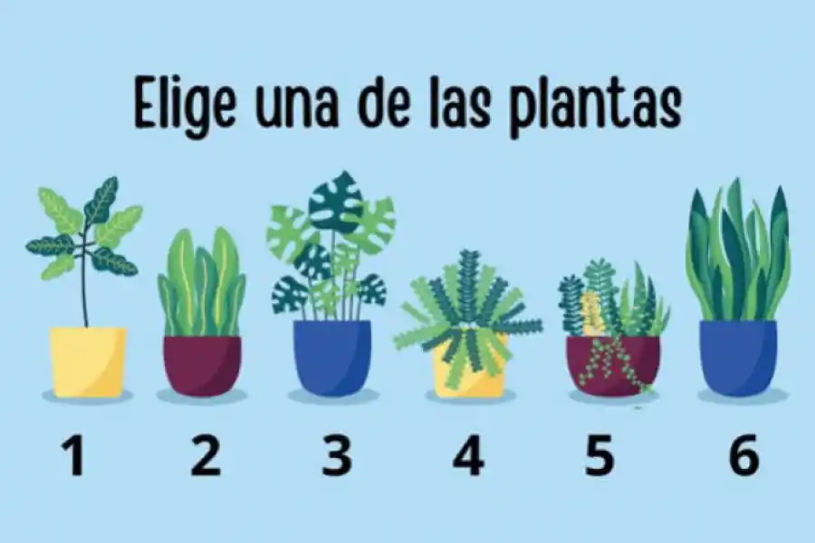 Test de personalidad: elegí una planta y descubrí cuál es tu misión en la vida