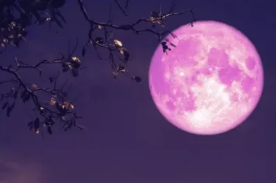 Conocé el poderoso ritual parar atraer el amor durante la luna llena