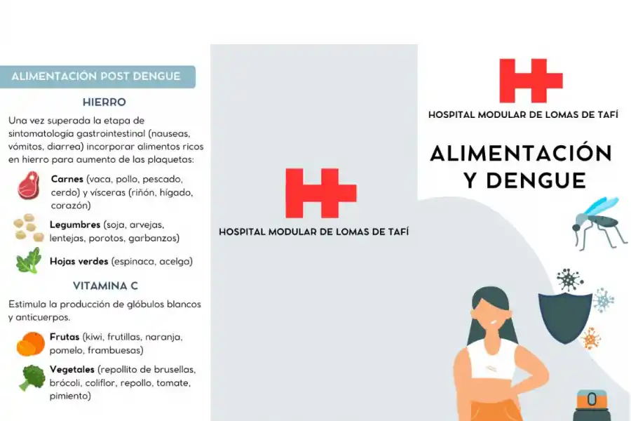 Especialista tucumana explica qué cuidados alimenticios realizar durante y después de tener dengue