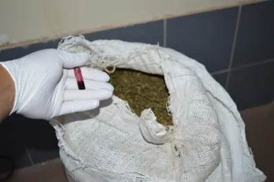 Secuestraron más de 16 kilos de marihuana