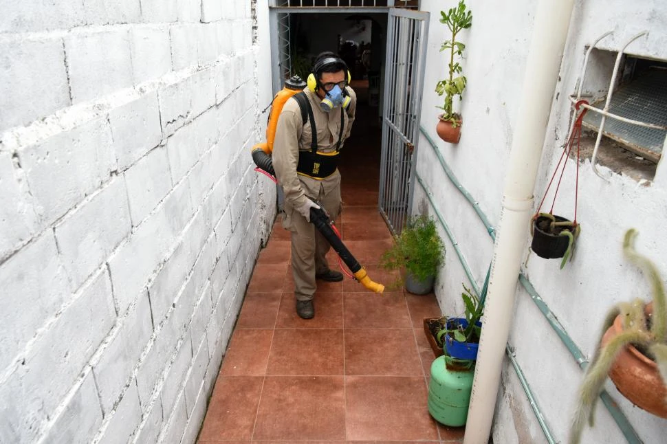 LA GACETA / FOTO DE DIEGO ÁRAOZ, José nuno y osvlado ripoll