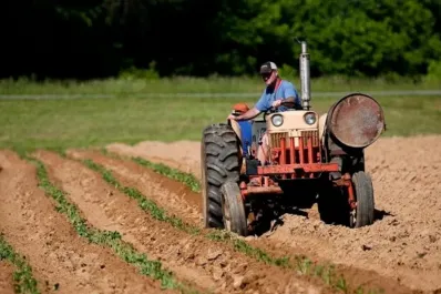 Aumentan la prestación por desempleo para trabajadores rurales: cuál es el monto máximo