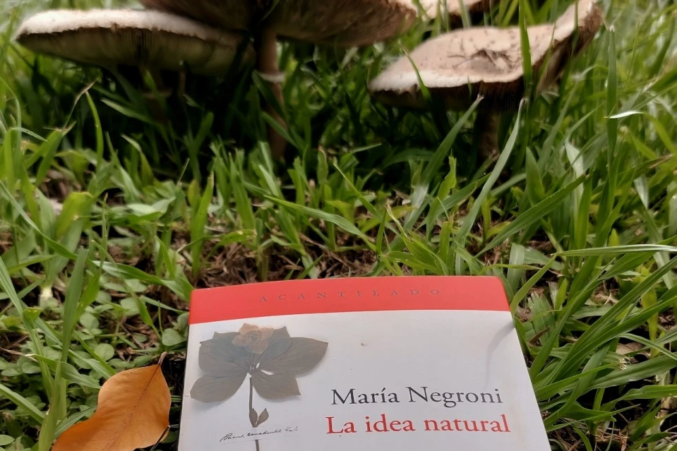 Registro, trabajo y exploración: La idea natural, de María Negroni
