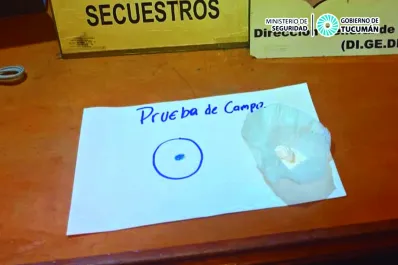 Narcomenudeo: buscaban paltas que habían sido sustraídas de una finca y encontraron cocaína