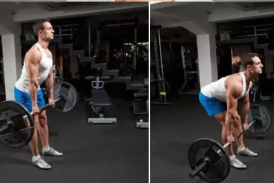 Conocé el mejor ejercicio para marcar abdominales en tiempo récord