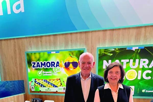 Zamora Citrus: 30 años apostando al sector citrícola de Tucumán