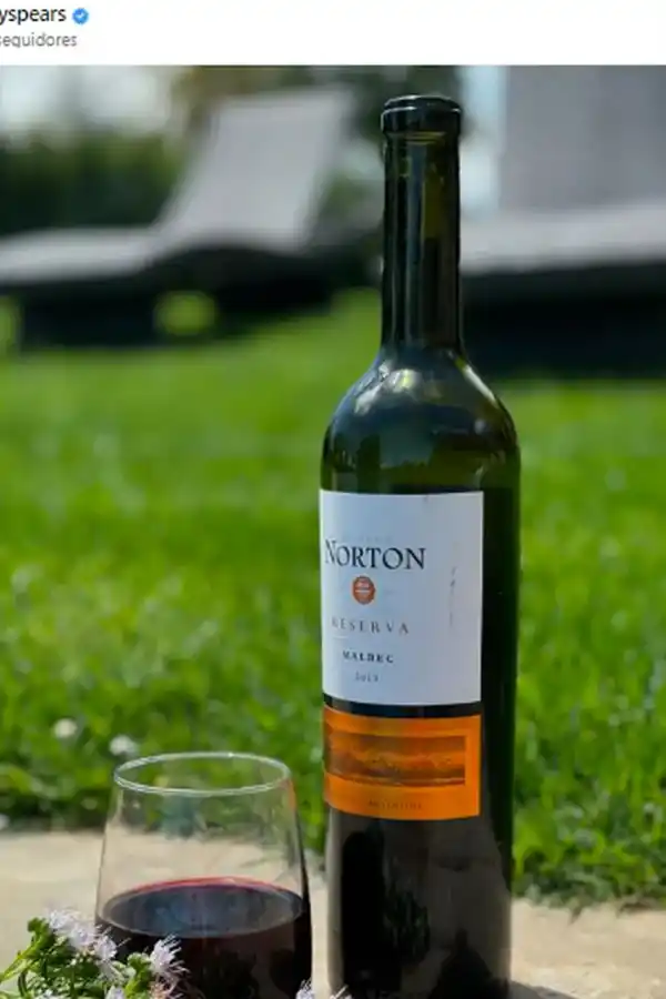 Britney Spears se confesó fanática de un vino argentino: Se siente extremadamente bien