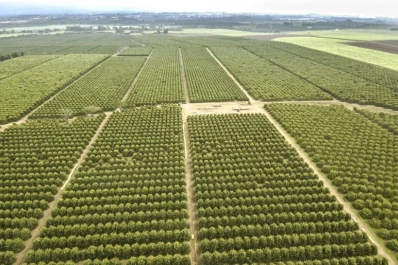 Veracruz apunta a la eficiencia para seguir compitiendo en los mercados internacionales