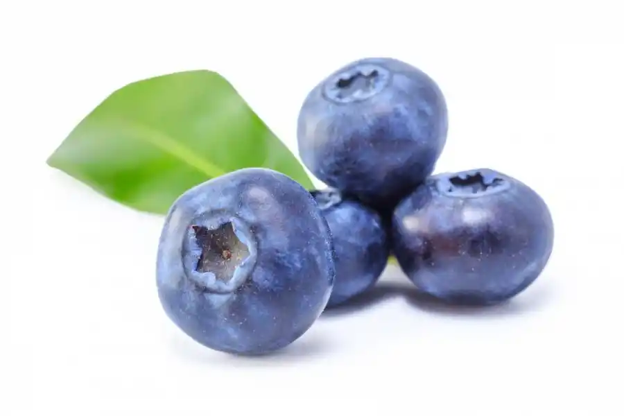 Las frutas y los productos de Frutucuman viajan a los mercados más exigentes del mundo