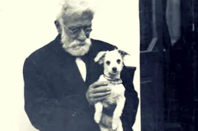 Día del Animal en Argentina: por qué se celebra el 29 de abril