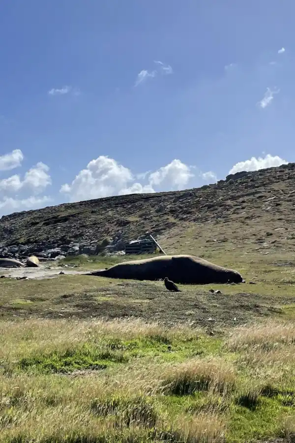 LIMPIO Y TRANQUILO. Paisaje donde están radicados los 4 habitantes.