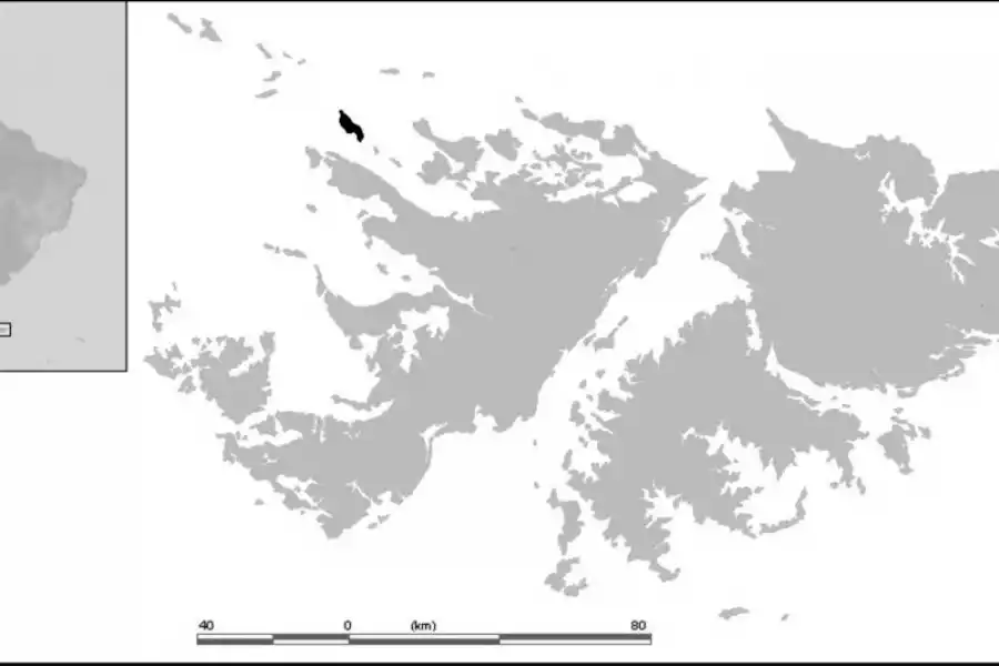 ISLAS DEL ROSARIO/CARCASS
