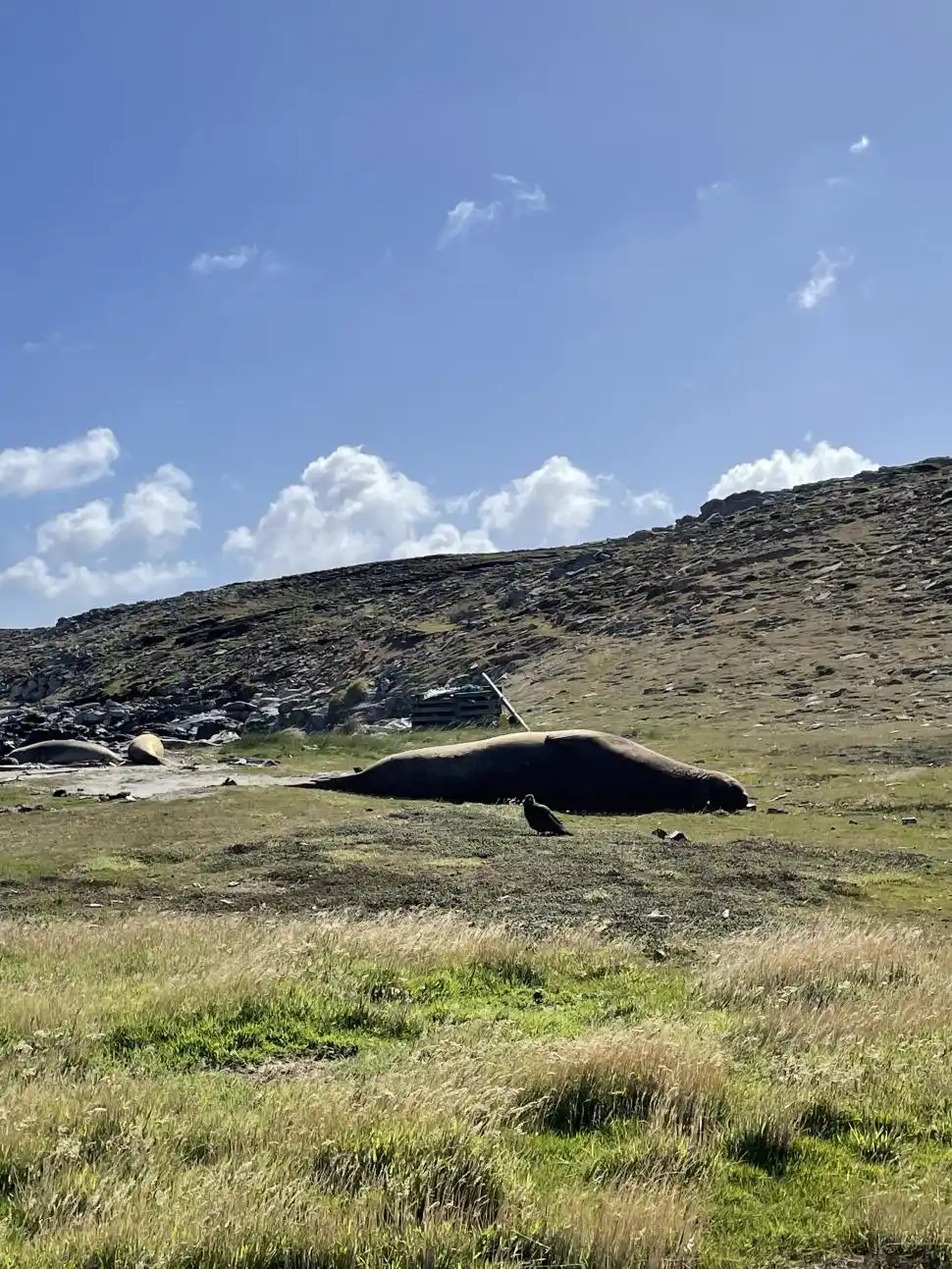LIMPIO Y TRANQUILO. Paisaje donde están radicados los 4 habitantes.