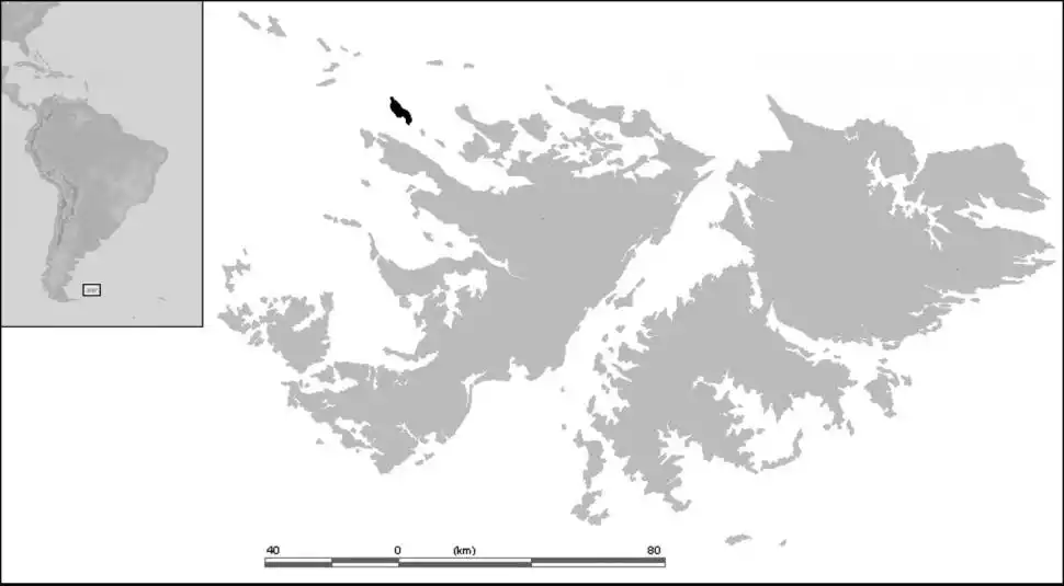 ISLAS DEL ROSARIO/CARCASS