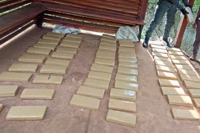 Secuestraron más de 90 kilos de marihuana en Misiones