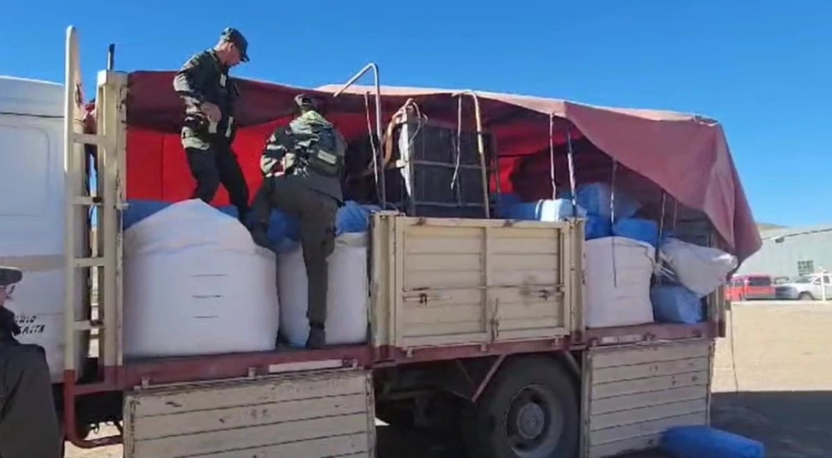 Salta: Gendarmería secuestró más de una tonelada de hojas de coca