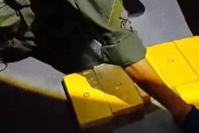 Encontraron más de 20 paquetes de cocaína ocultos en un auto