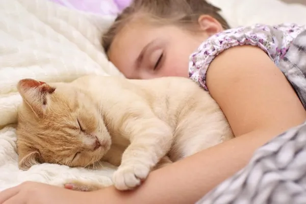 Beneficios y riesgos de dormir con tu gato: ¿es saludable compartir la cama con tu mascota?