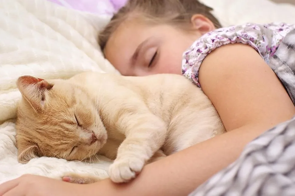 Qué pasa si duermes con tu gato todas las noches