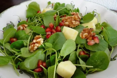 Cuál es el alimento más saludable del mundo, según la ciencia