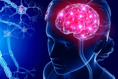 Descubrieron que un alimento puede dañar el cerebro: ¿qué dice el estudio de Harvard?