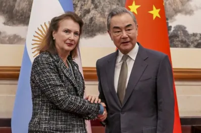 Polémica frase de Diana Mondino, tras su gira por Asia: Son chinos, son todos iguales