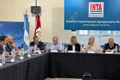 En Rafaela analizaron el estado del achaparramiento del maíz