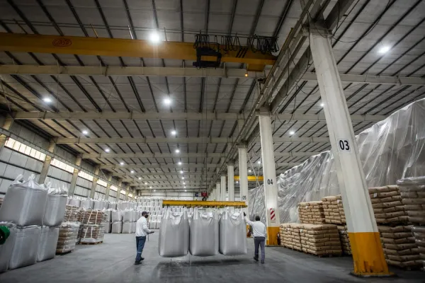 Ante previsiones de una zafra récord, industriales azucareros elevaron sus estimaciones de exportación