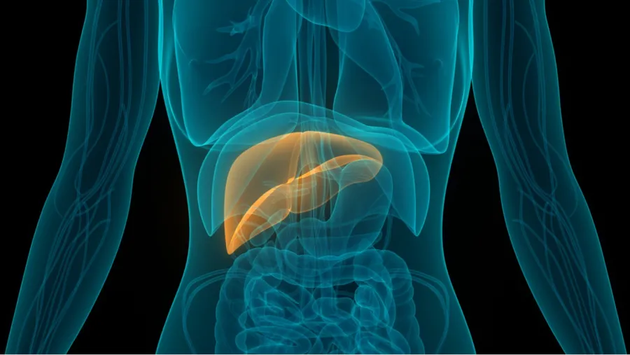 El cáncer de hígado se puede tratar a tiempo