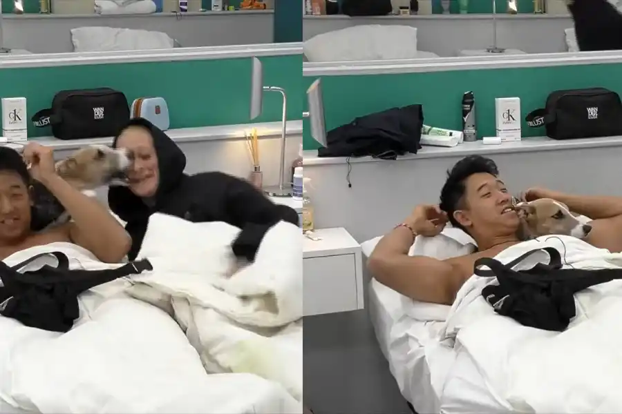 Arturo no quiere a Furia cerca de Martín