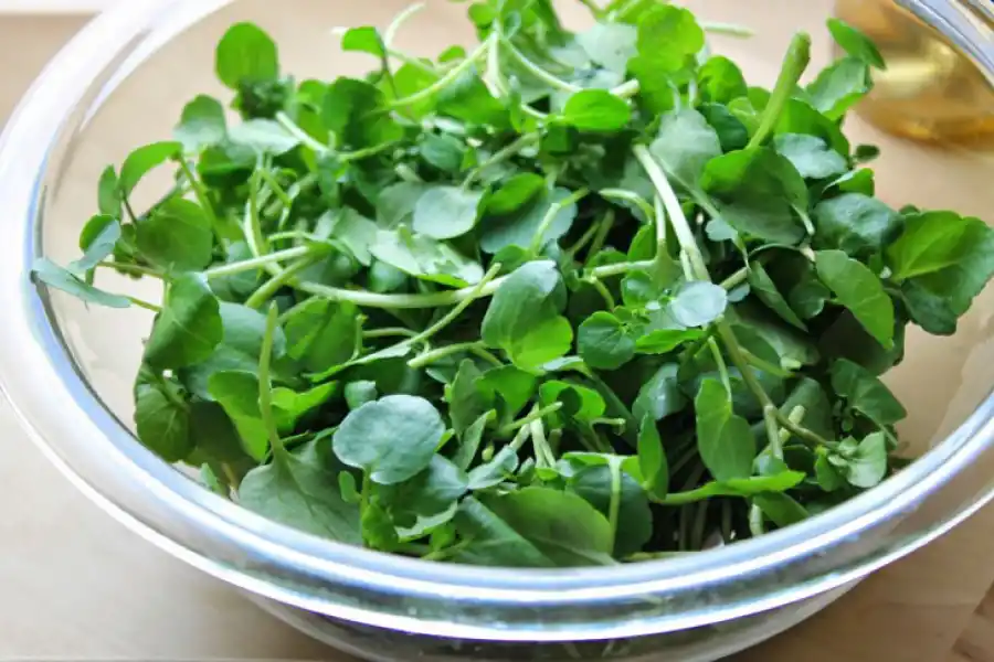 El berro, el alimento más saludable del mundo. 