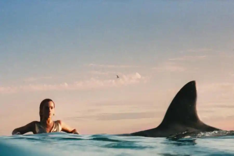 Seguir a pesar de los golpes, de eso se trata 