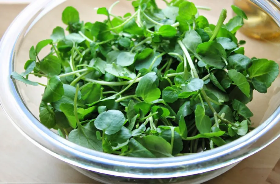 El berro, el alimento más saludable del mundo. 