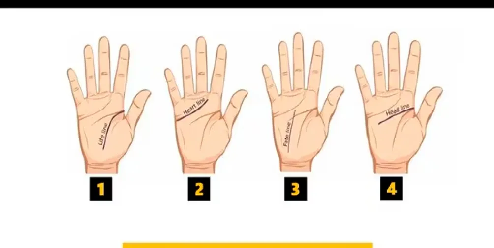 Test viral: observá las líneas de tu mano y descubrí qué ocultan de tu personalidad
