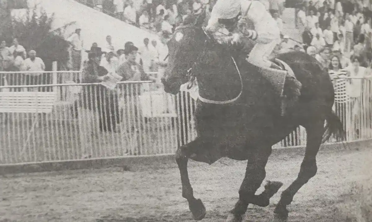 RUMBO AL DISCO. El zaino Stormy Dark fue conducido por Carlos Alberto Chirino,