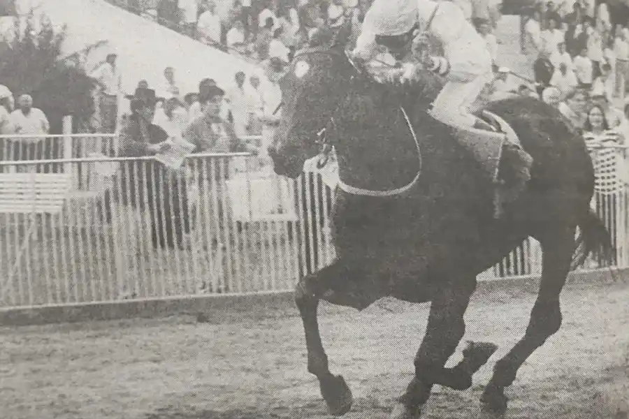 RUMBO AL DISCO. El zaino Stormy Dark fue conducido por Carlos Alberto Chirino,