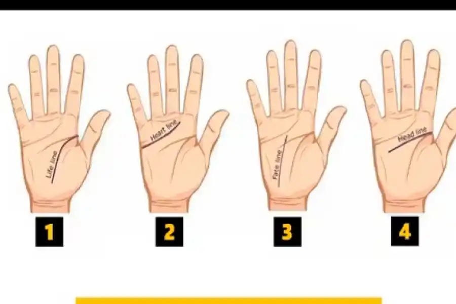 Test viral: observá las líneas de tu mano y descubrí qué ocultan de tu personalidad