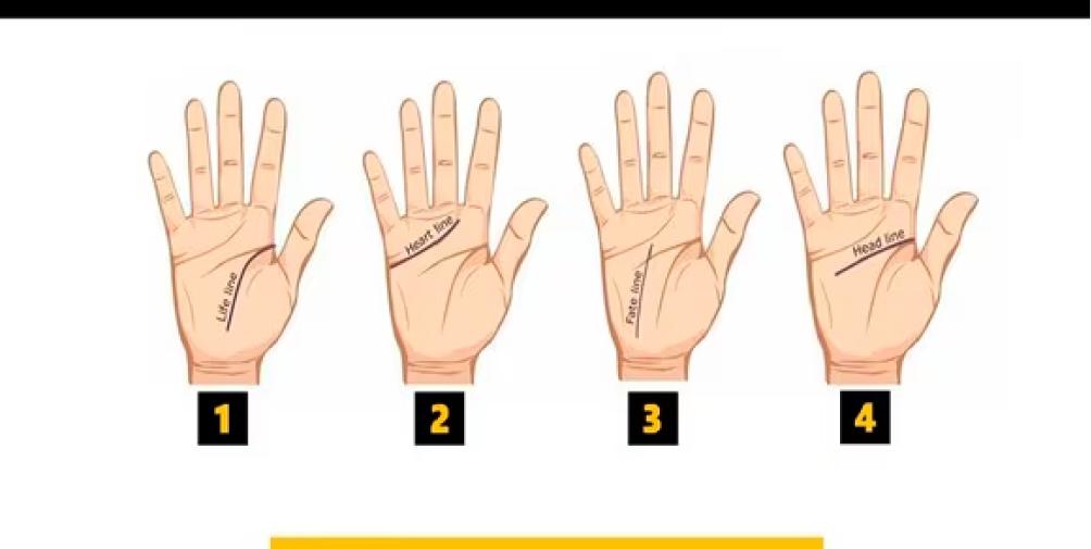 Test viral: observá las líneas de tu mano y descubrí qué ocultan de tu personalidad