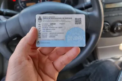 Nuevas medidas: qué documentación debo llevar en el auto para circular en el país