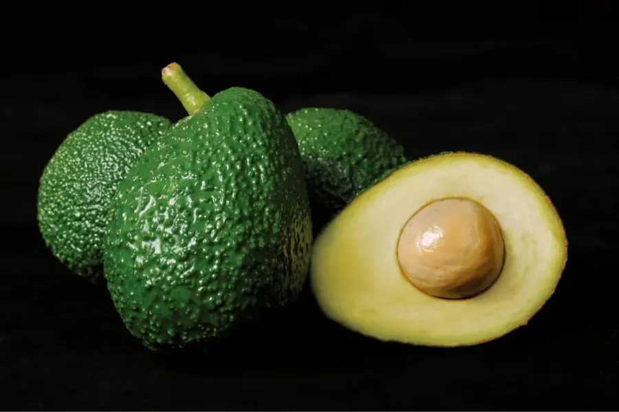 La semilla de la palta destaca por sus propiedades antioxidantes, ideales para el cuidado capilar