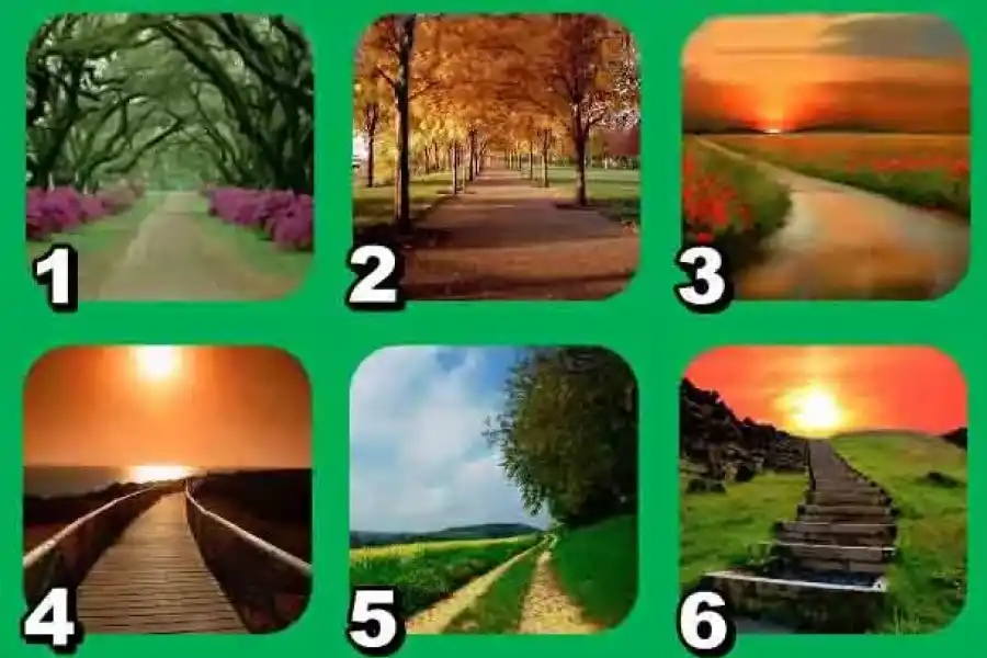 Test de personalidad: el camino que elijas revelará características llamativas de tu forma de ser