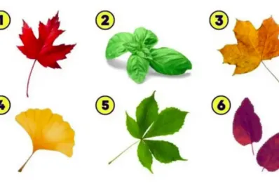 Test viral: elegí una hoja y descubrí el aspecto que más sobresale de tu personalidad