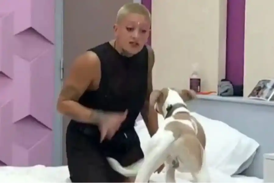 Arturo le ladra a Furia por sus fuertes gritos