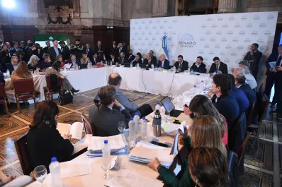 Funcionarios de Milei defienden la Ley Bases en el Senado: seguí en vivo el debate