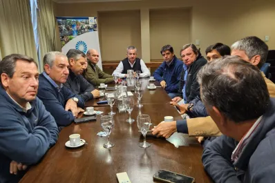 Tucumán convocará a las provincias de la región para combatir la chicharrita del maíz