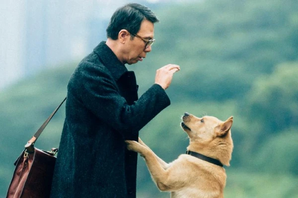 Estrenos de cine: el perro que esperó por años el regreso de su dueño
