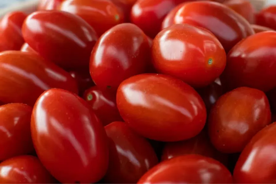 El tomate tiene múltiples beneficios para la salud