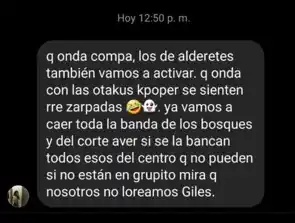 COMPILADO. Los mensajes que LA GACETA encontró en uno de los grupos.