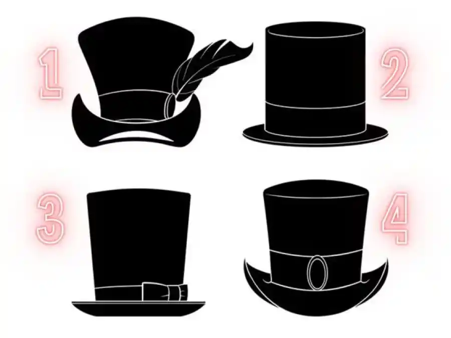 Test viral: elegí un sombrero y descubrí un mensaje consejo para tu futuro